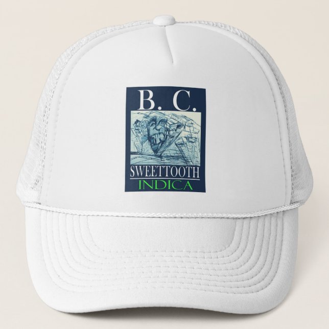 BC SWEETTOOTH INDICA TRUCKERKAPPE (Vorderseite)
