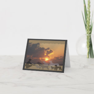 Bcd-Sonnenuntergang-Beileids-Karte Karte