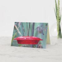 BD, erhalten Summenvogel "wohle" Karte