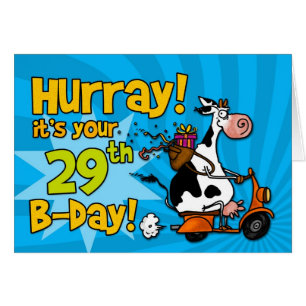BD-Rollerkuh - 29