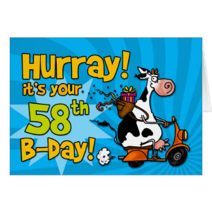 BD-Rollerkuh - 58