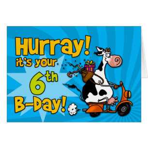 BD-Rollerkuh - 6