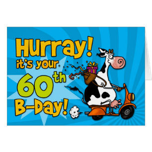 BD-Rollerkuh - 60