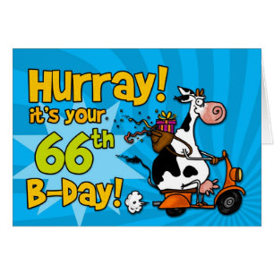 BD-Rollerkuh - 66