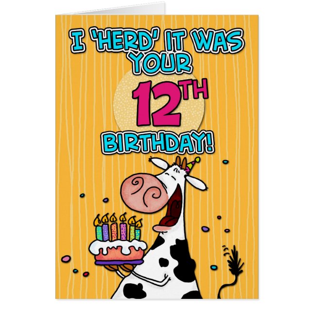 BD schüchtern - 12 ein (Vorne)