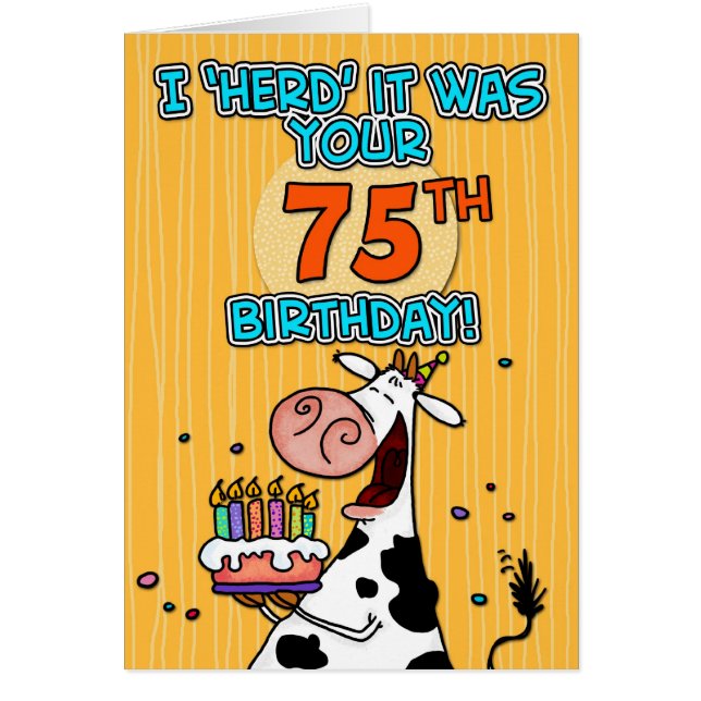 BD schüchtern - 75 ein (Vorne)