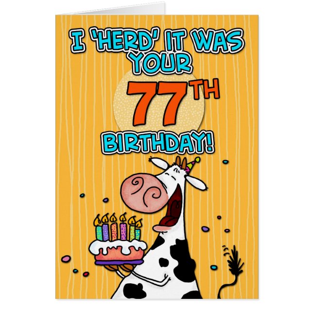 BD schüchtern - 77 ein (Vorne)