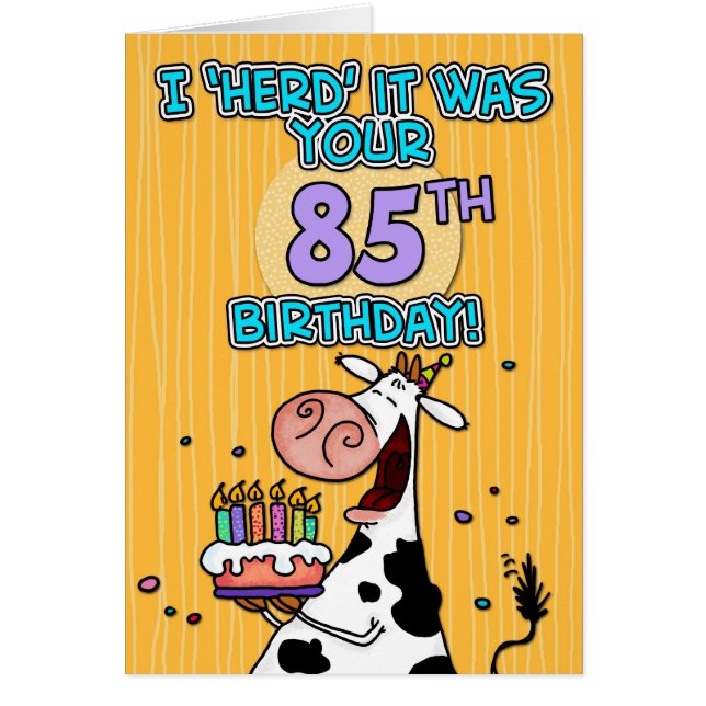 BD schüchtern - 85 ein (Vorne)