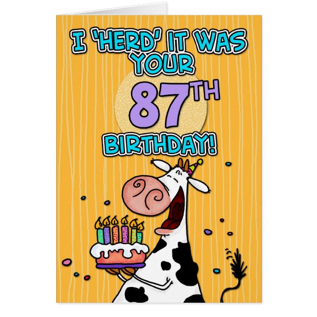 BD schüchtern - 87 ein (Vorne)