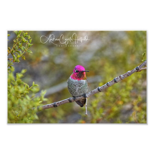 Be-Jeweled 1 Fotodruck (Vorne)