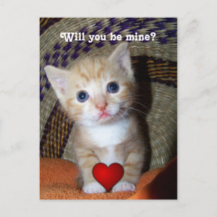 Be Mine Kitten Postkarte