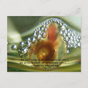 Be not afraid of growing slowly, be a... postkarte