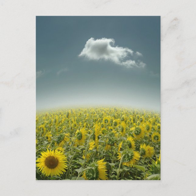 Be Unique Postkarte (Vorderseite)