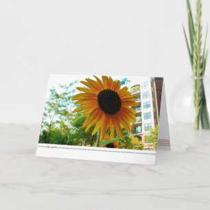 be*well_sunny Piazzaphotographie Karte