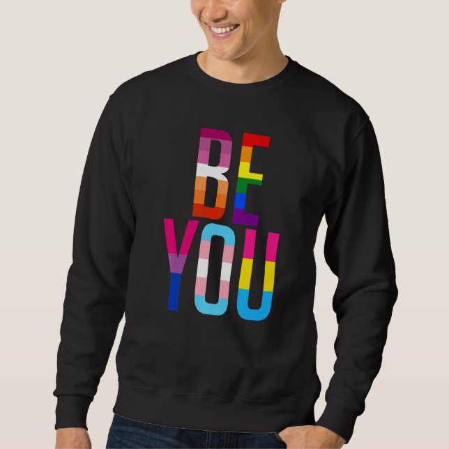 Be You Pride LGBTQ Gay LGBT Ally Rainbow Flag Retr Sweatshirt (Vorderseite)
