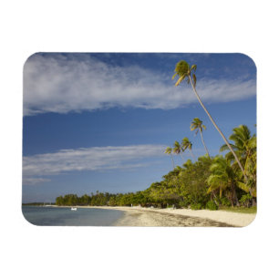 Beach and palm trees, Plantation Island Resort Magnet