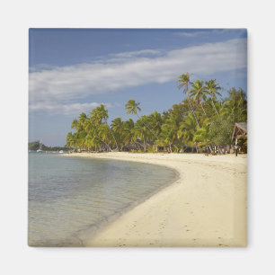 Beach and palm trees, Plantation Island Resort Magnet