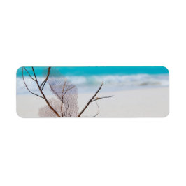Beach-and-Sea-Concept Beach Beauty-Blue-Karibik