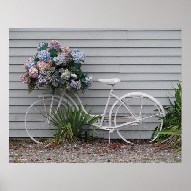 Beach Bicycle Poster (Vorne)