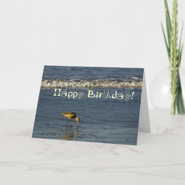 Beach Bird Happy Geburtstag 4 Karte (Vorderseite)