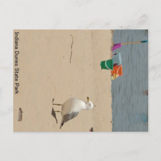 Beach Birdie Postkarte