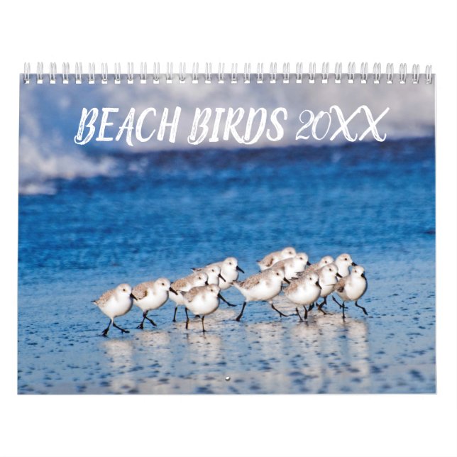 Beach Birds Fotografie Kalender (Titelbild)