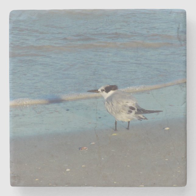 Beach Birds Untersetzer (Vorderseite)