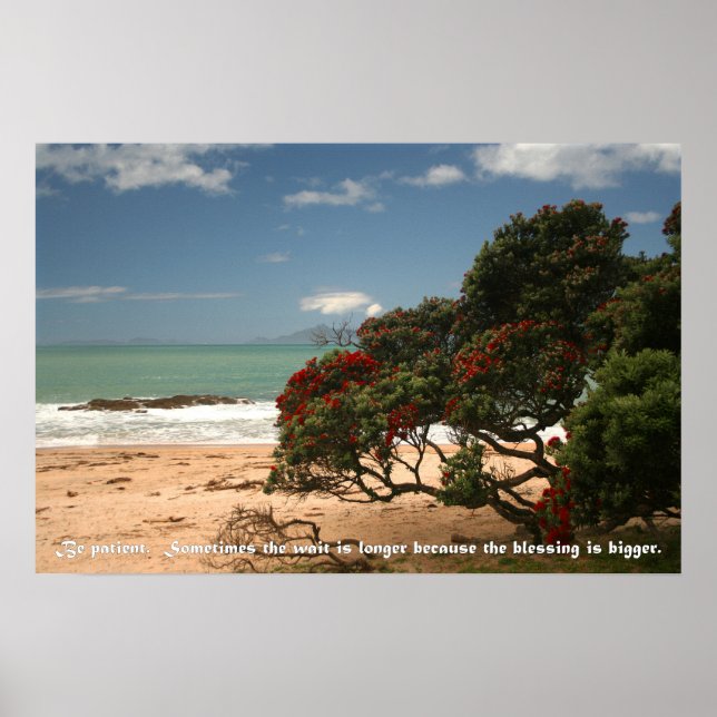 Beach Bliss - Pohutukawa Tree - Patient sein Poster (Vorne)