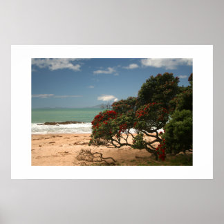 Beach Bliss - Pohutukawa Tree Poster