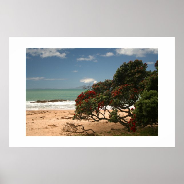 Beach Bliss - Pohutukawa Tree Poster (Vorne)