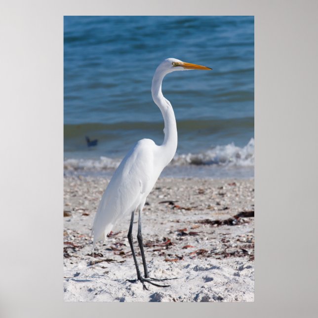 Beach-Bum Heron Poster (Vorne)