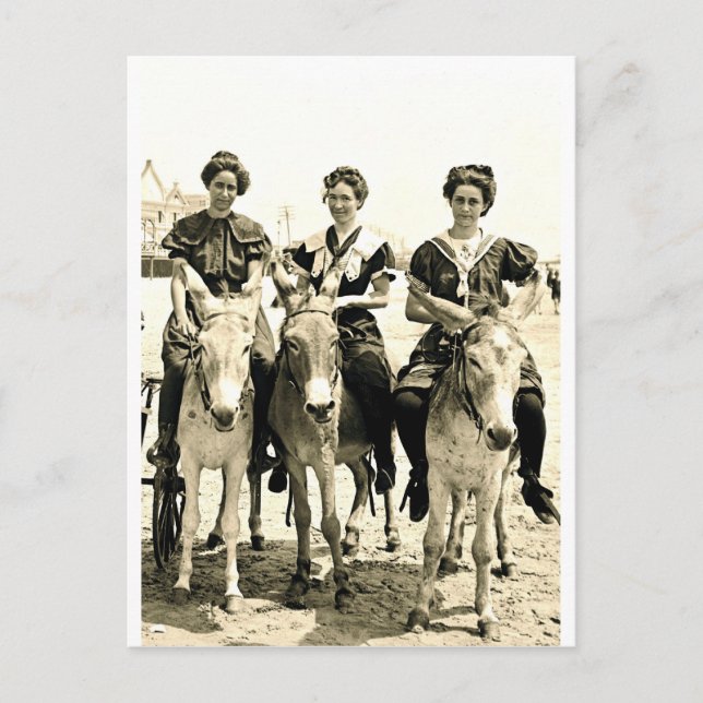 Beach Burros Postkarte (Vorderseite)