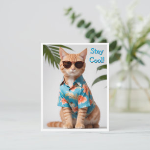 Beach Cat Wearing Sonnenbrille Grußkarte Einladung