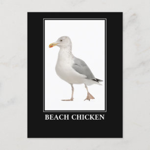 Beach Chicken - Seagull Gull Spaß Postkarte