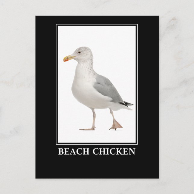 Beach Chicken - Seagull Gull Spaß Postkarte (Vorderseite)