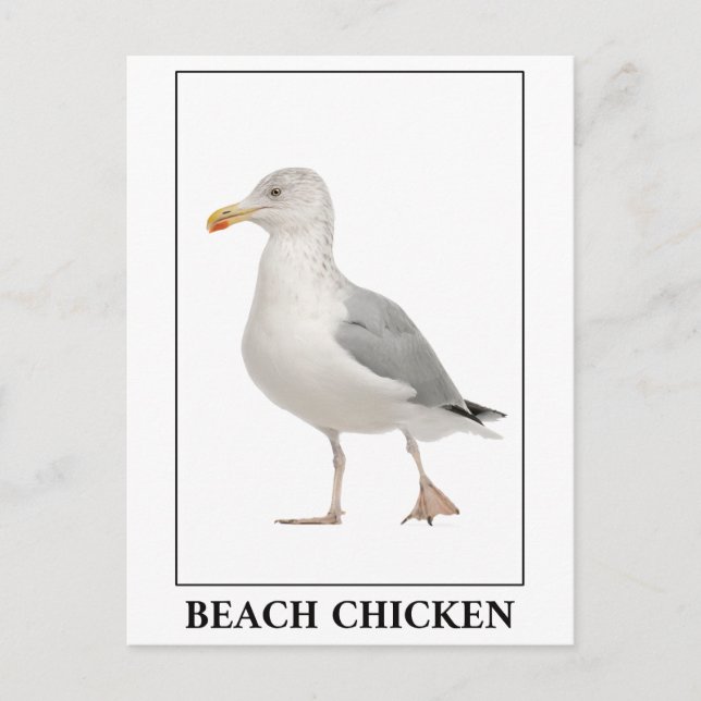 Beach Chicken - Seagull Gull Spaß Postkarte (Vorderseite)