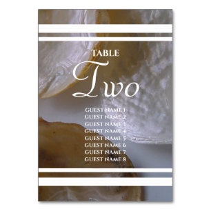 Beach Clams Wedding Guest Names Tischnummer