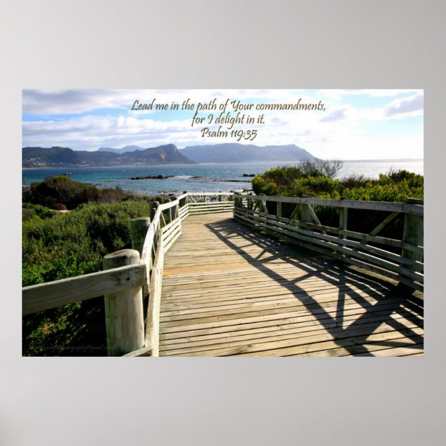 Beach Dock Poster, Kapstadt, Südafrika Poster (Vorne)