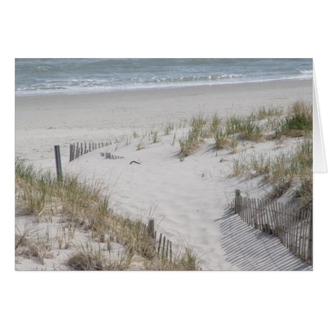 Beach Dunes (Vorderseite (Horizontal))