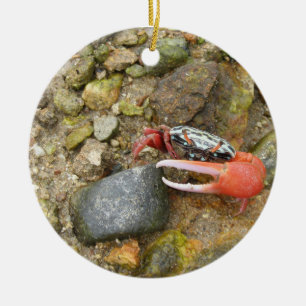 Beach Fiddler Krabbe Keramik Ornament