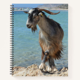 Beach Goat Notebook Notizbuch