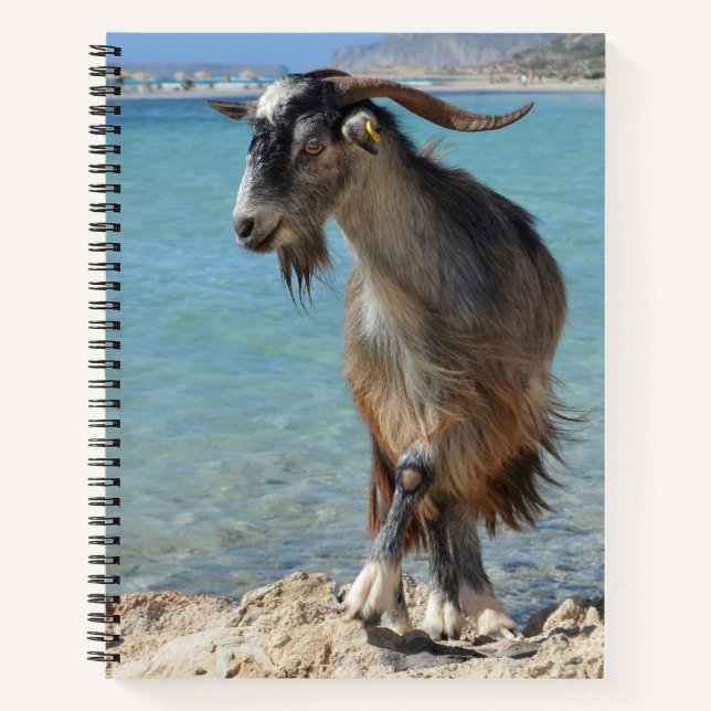 Beach Goat Notebook Notizbuch (Vorderseite)