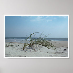 Beach Gras Print Poster
