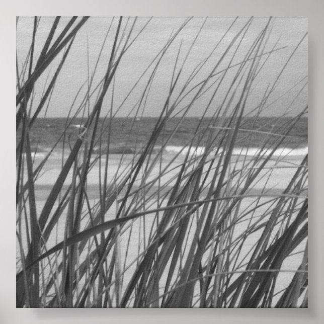 BEACH GRASS POSTER (Vorne)