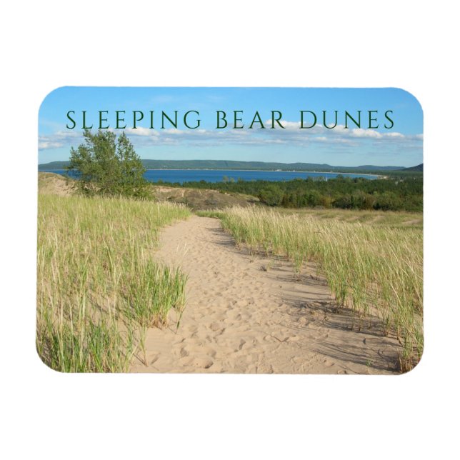 Beach Grass, Sand, Bärenwanderweg, Michigan Magnet (Horizontal)