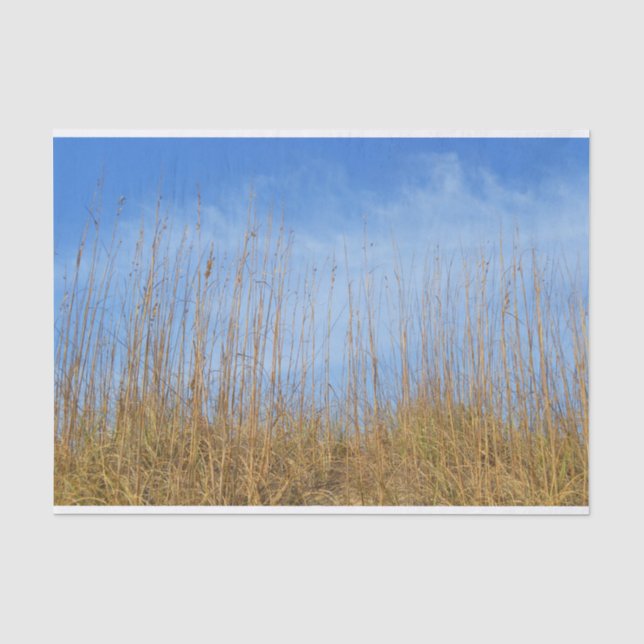 Beach Grass von Shirley Taylor Seidenpapier (Vorderseite)
