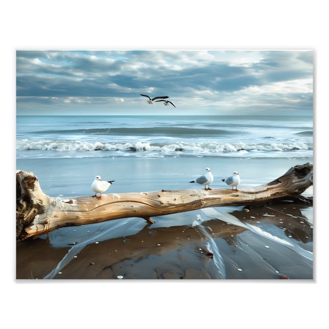 Beach Gulls Foto Print (Vorne)