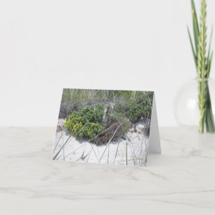 Beach Heather Note Card Karte