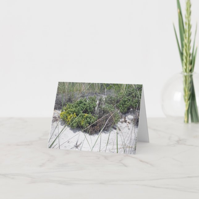 Beach Heather Note Card Karte (Vorderseite)