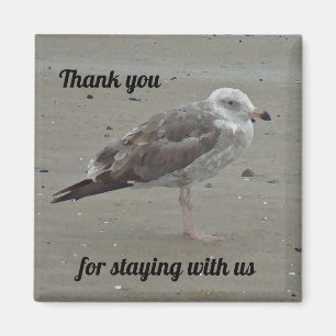 Beach House Rental Unique Seagull Guest Vielen Dan Magnet
